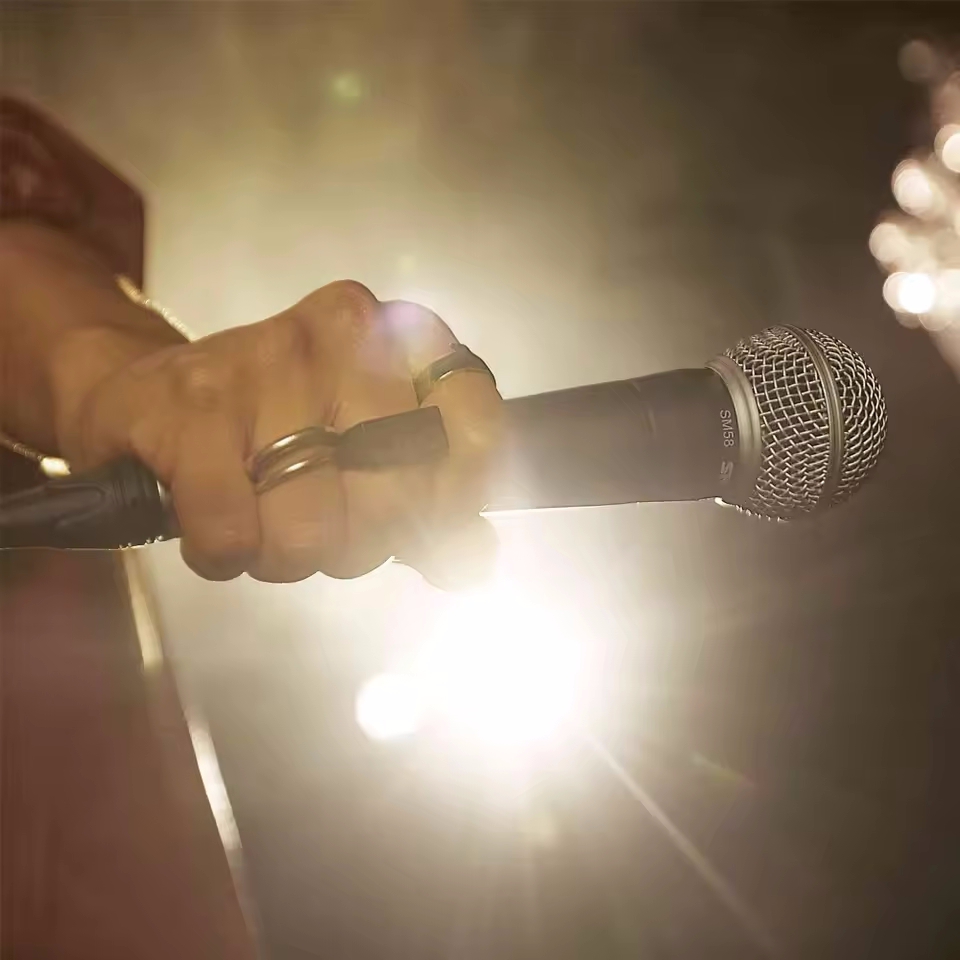 Karaoke Dynamische Microfoon P - Shure Mic Sm58 recensie en prijs